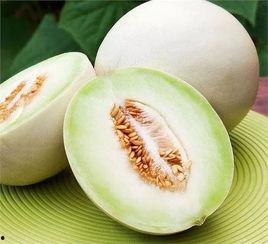 白兰瓜怎么切方便吃的视频,轻松美味,一学就会 第3张 白兰瓜怎么切方便吃的视频,轻松美味,一学就会 第3张