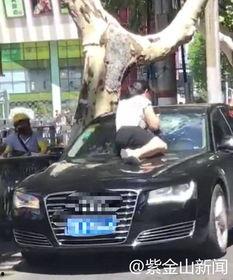 大众吃瓜视频,热门话题背后的真相与笑料  第2张