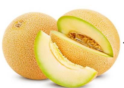 奶龙吃哈密瓜的视频,哈密瓜成新宠 第2张 奶龙吃哈密瓜的视频,哈密瓜成新宠 第2张