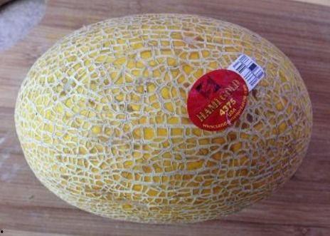 奶龙吃哈密瓜的视频,哈密瓜成新宠 第3张 奶龙吃哈密瓜的视频,哈密瓜成新宠 第3张