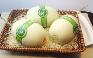 白玉瓜老了咋吃啊视频讲解,视频揭秘  第1张