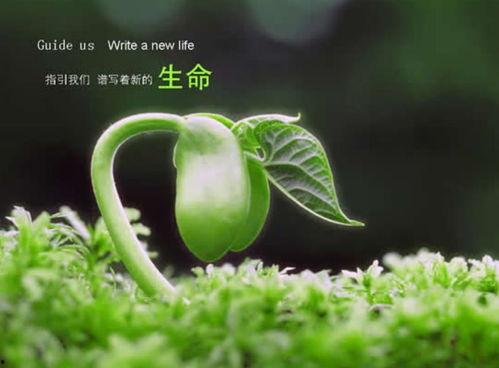 今日立春吃瓜视频图片,跟随视频探寻传统美食文化  第2张