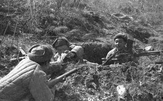 抗美援朝吃瓜群众视频,吃瓜群众的视角见证历史  第2张