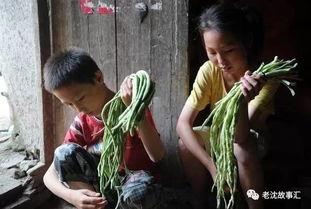 河南姐弟吃瓜视频大全集,揭秘网络热传的趣味瞬间  第1张