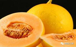 吃蜜瓜助眠视频播放下载,轻松一招助你一夜好眠  第2张