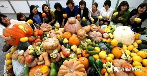 大神 吃瓜视频大全,大神吃瓜视频大全，带你领略网络娱乐新风尚  第2张