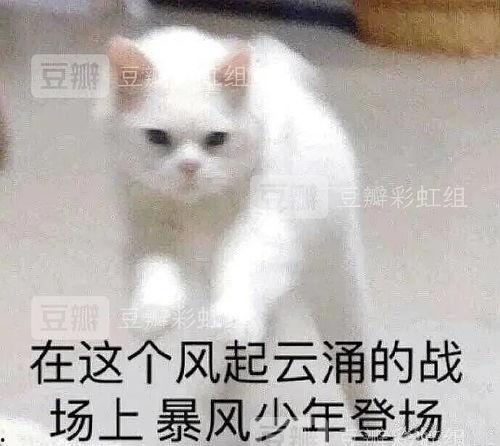 胖猫理智吃瓜视频,胖猫带你揭秘娱乐圈真相 第3张 胖猫理智吃瓜视频,胖猫带你揭秘娱乐圈真相 第3张