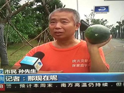 河津市吃瓜群众事件视频,网络围观下的社会现象解析  第1张