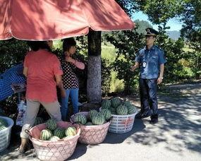 金乡吃瓜群众事件视频播放,网络视频引发的热议与反思  第1张