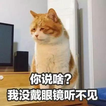 小呆瓜吃南瓜好吗视频大全,视频大全精选回顾  第2张