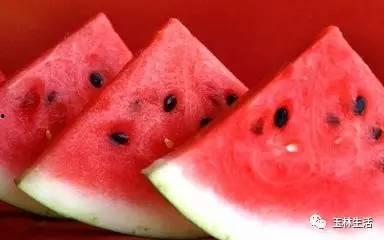 扬州戴珞吃瓜视频,揭秘网红美食背后的故事  第2张