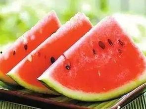 扬州戴珞吃瓜视频,揭秘网红美食背后的故事  第3张