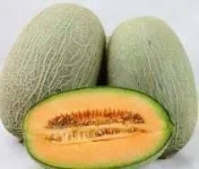 大象吃哈密瓜南瓜视频播放,哈密瓜与南瓜的味蕾盛宴