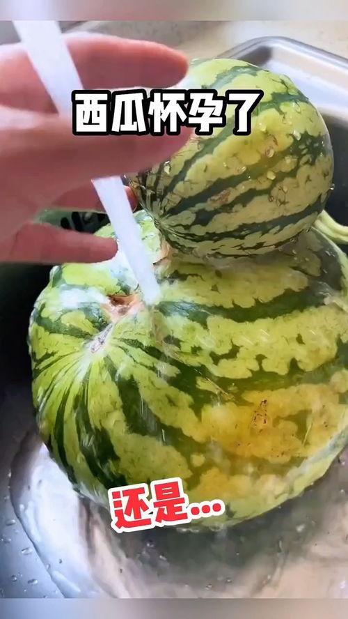 自动吃瓜视频搞笑,笑料横生视频盛宴 第3张 自动吃瓜视频搞笑,笑料横生视频盛宴 第3张