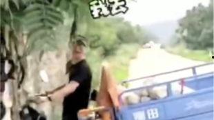 摩托车吃瓜视频,揭秘网络热传视频背后的故事