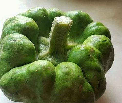 旅游云南吃瓜视频大全集,吃瓜视频大全集带你领略风味云南  第2张