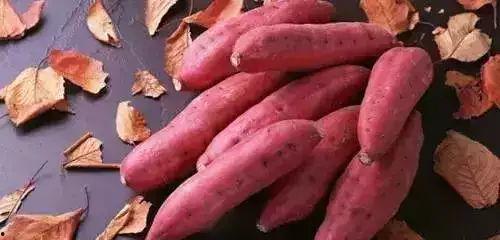 吃瓜还能吃地瓜吗视频,揭秘两者之间的奇妙关联 第2张 吃瓜还能吃地瓜吗视频,揭秘两者之间的奇妙关联 第2张