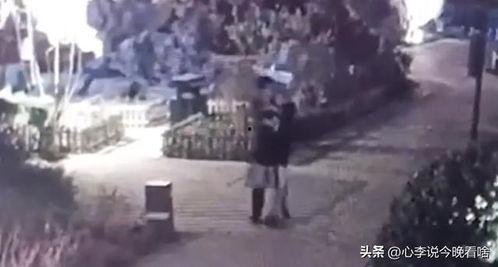 女人吃瓜视频完整版,揭秘娱乐圈幕后真相  第2张