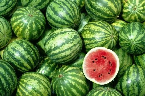 带头吃瓜西瓜视频,西瓜视频带你领略“吃瓜”新风尚