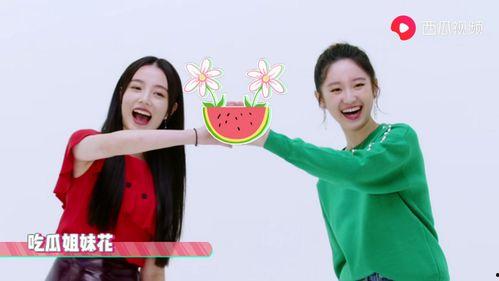 带头吃瓜西瓜视频,西瓜视频带你领略“吃瓜”新风尚  第2张