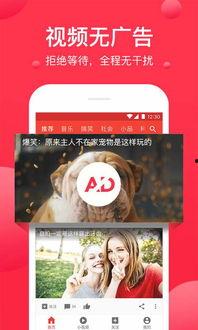 吃瓜八卦视频网站下载安装,下载安装攻略与热门八卦盘点  第2张