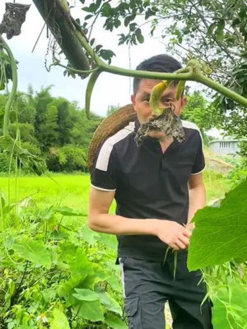 农村吃瓜大妈视频,揭秘乡村生活趣味瞬间  第2张
