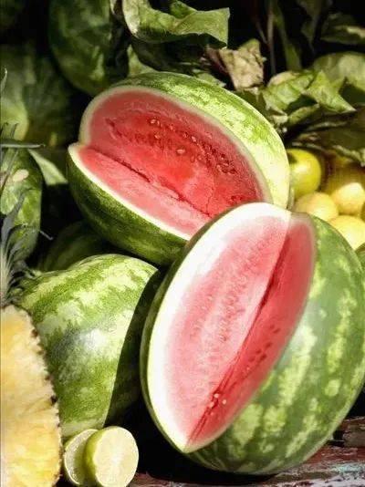 吃瓜1元视频,吃瓜界的秘密大公开  第2张