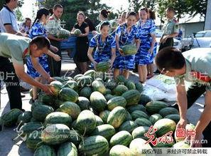 安徽定远吃瓜事件视频,一场网络热议的真相追踪  第2张