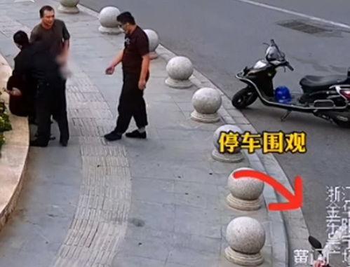 吃瓜男子被民警抓视频,民警现场执法引网友热议  第2张